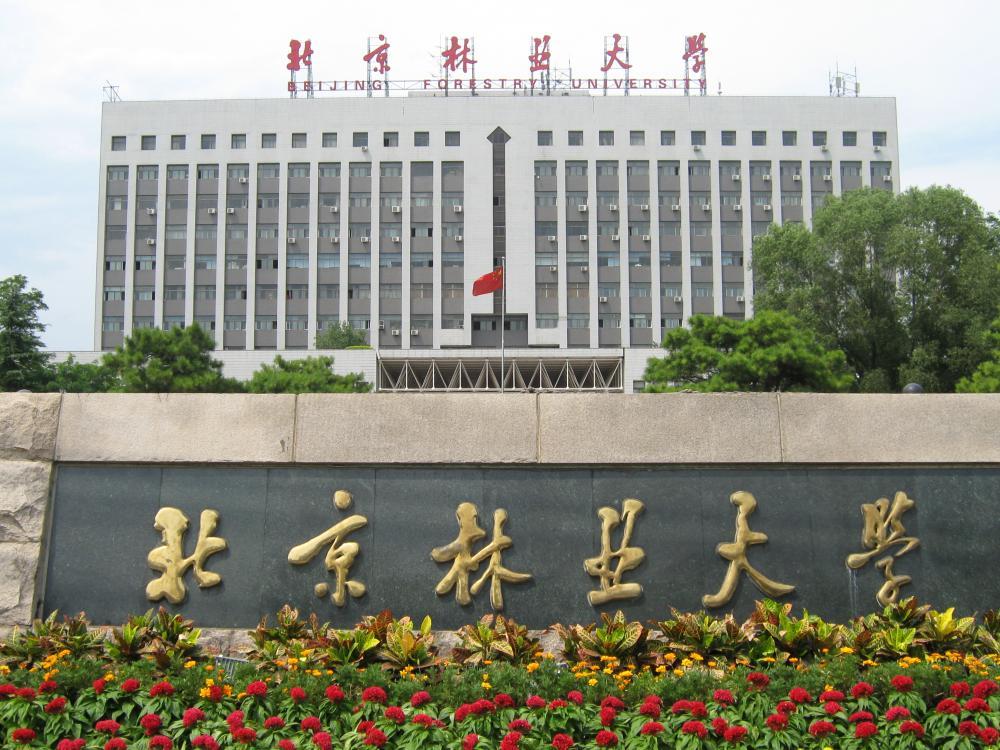 【211高校】北京林业大学