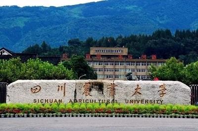 【211高校】四川农业大学